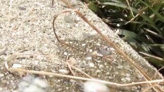 Nature's Calling - Outdoor Pee Break Compilation