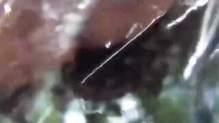 Nature's Calling - Outdoor Pee Break Compilation