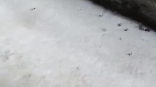 Public Peeing #2 - Bold barely legal Japan Girl Unknowingly Filmed Peeing Outdoors