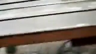 Big Cock Self-Suck Outdoors