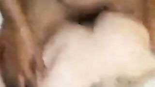 Interracial Amateur Takes on a BBC