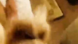 Interracial Amateur Takes on a BBC