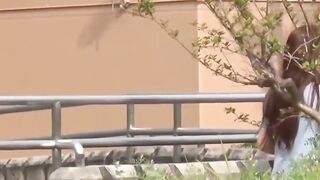 A cameraman caught a group of shy girls who had to pee outdoor