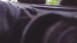 Daddy Bear Sucks in the Park