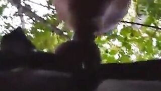Daddy Bear Sucks in the Park