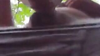 Daddy Bear Sucks in the Park
