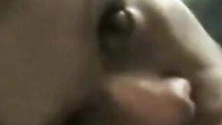 American MILF Gives an Amazing Blowjob