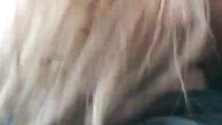 Esposa Madura Latina Me Chupó