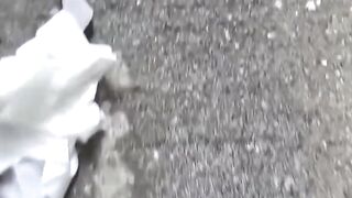 Voyeur secretly films Japanese girls with hairy twats pissing outdoors