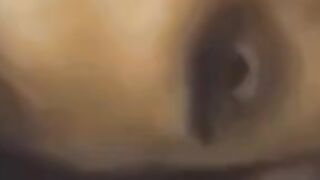 Indian Amateur Sucks a Big Black Cock 2