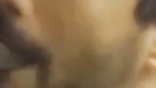 Indian Amateur Sucks a Big Black Cock 2