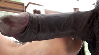 Latina Andreina Deluxe barely fits massive black dick in her mouth