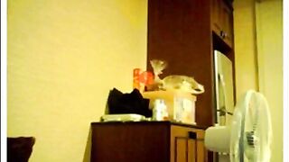 Taiwanese Amateur Couple Fingering on Webcam