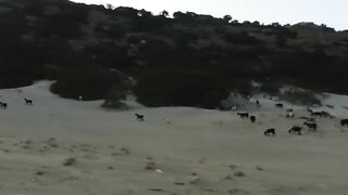 Amateur Couple's North Cyprus Beach Adventure