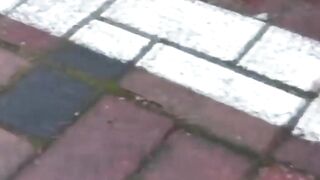 Voyeur cam catches Asian hottie pissing beside a car