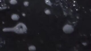 Discreet film of Asian babes rushed bladder relief
