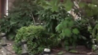 Various Japanese babes caught peeing in public alleys