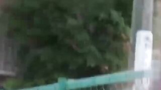 Slim college Japanese filmed by a voyeur pissing outside