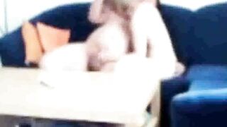 Sister-in-law caught fucking on the couch