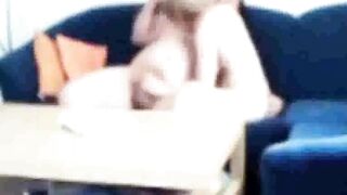 Sister-in-law caught fucking on the couch