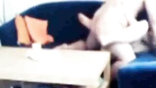 Sister-in-law caught fucking on the couch