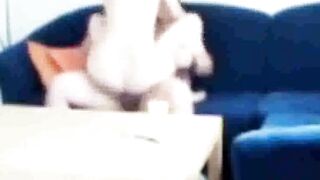 Sister-in-law caught fucking on the couch