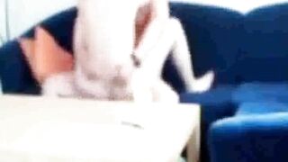 Sister-in-law caught fucking on the couch