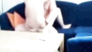 Sister-in-law caught fucking on the couch