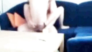 Sister-in-law caught fucking on the couch