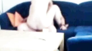 Sister-in-law caught fucking on the couch