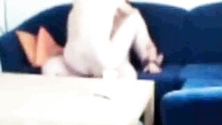Sister-in-law caught fucking on the couch
