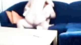 Sister-in-law caught fucking on the couch