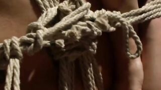 Shay Fox Rough Bondage and Domination