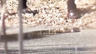 Hidden cam catches Japanese babes squatting to piss outdoors