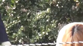 Hidden cam catches Japanese babes squatting to piss outdoors