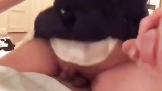 Asian Crossdresser Cums During Sex