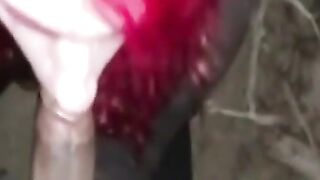 Interracial Blowjob in the Great Outdoors 2
