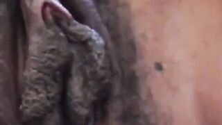 Ebony Solo Webcam - Finger Food
