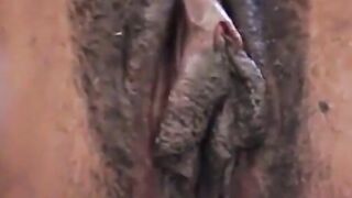 Ebony Solo Webcam - Finger Food
