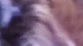 Granny's Blowjob Adventure