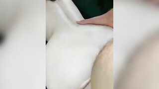 Horny slut get facial after hard doggy pounding outdoor