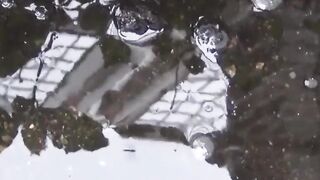 Voyeur follows numerous babes to film outdoor peeing