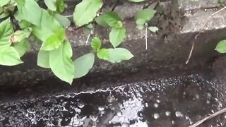 Voyeur follows numerous babes to film outdoor peeing