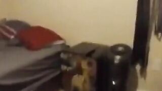 Big-Cock Amateur Couple Heat 3