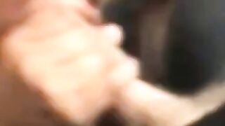 Amateur Latina MILF's Heavenly Blowjob 2