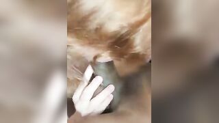 Wife Services a BBC