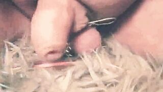 The utmost balls torment (cruel Mistress Kate)