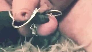 The utmost balls torment (cruel Mistress Kate)