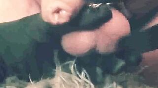 The utmost balls torment (cruel Mistress Kate)