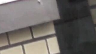 Babes wipe pussy after a leak in a shared public restroom